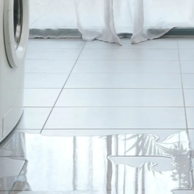 Appliance Leak Cleanup in Blair, WI