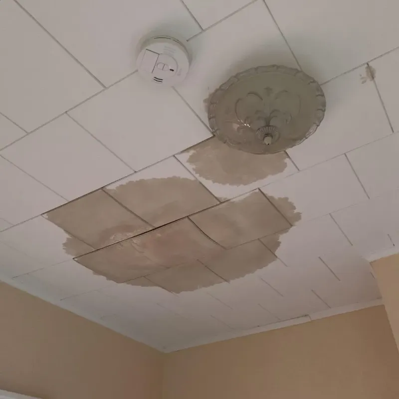 Ceiling Water Damage Repair in Blair, WI