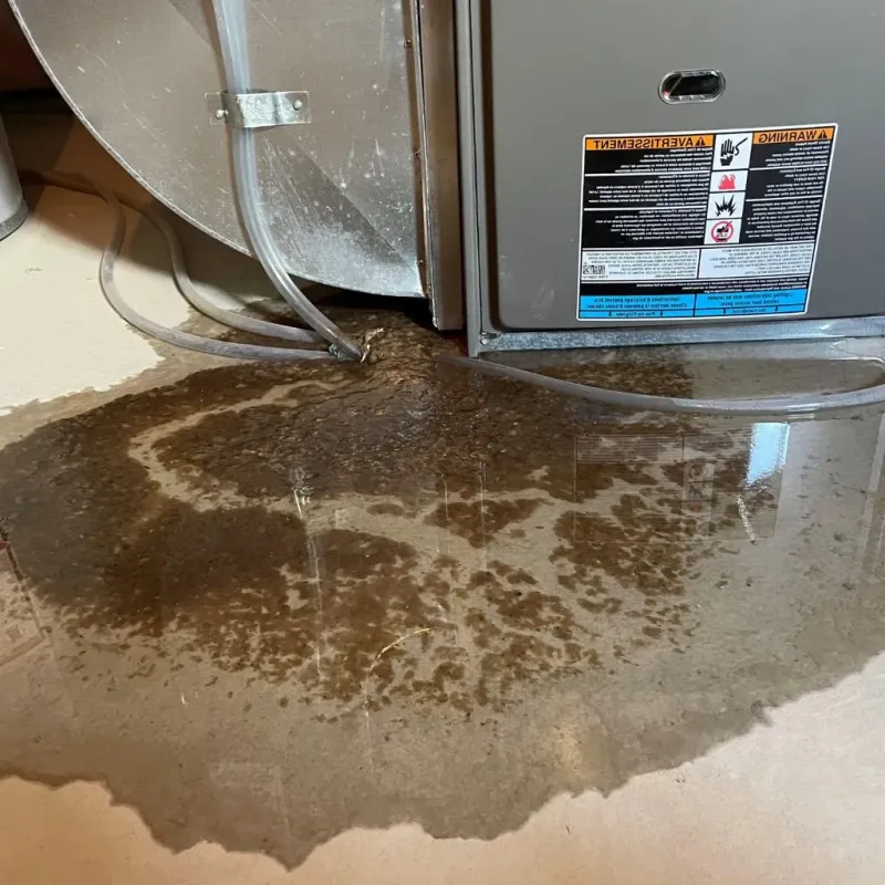 Pipe Burst and Leak Restoration in Blair, WI