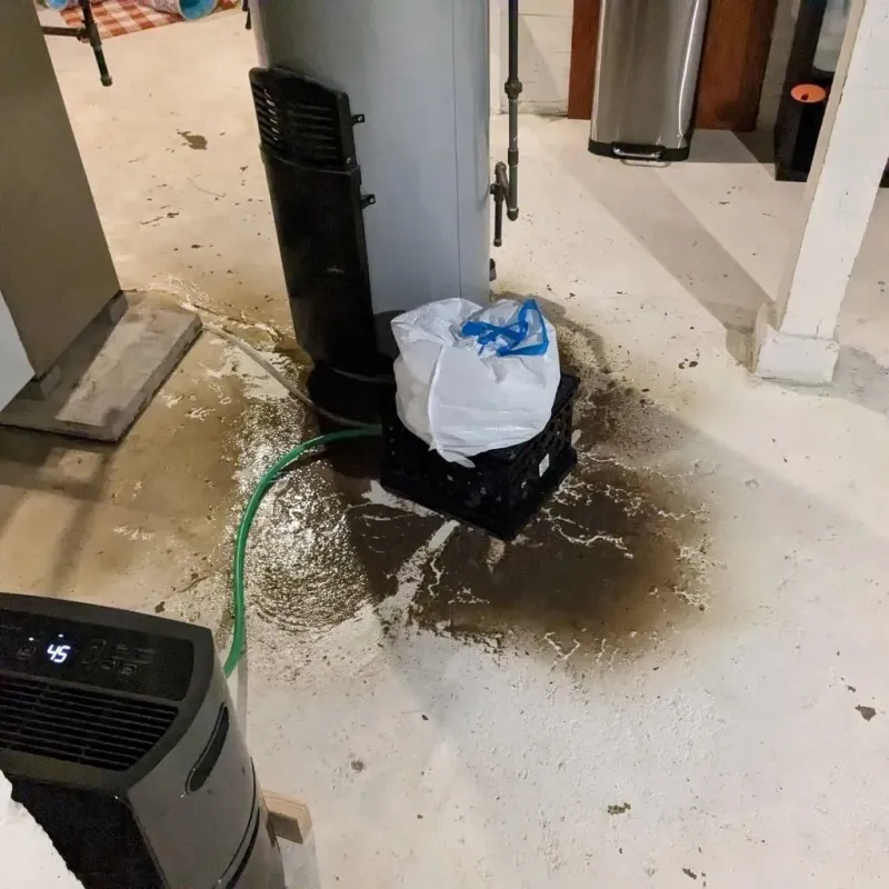 Sewage Backup Cleanup Service in Blair, WI